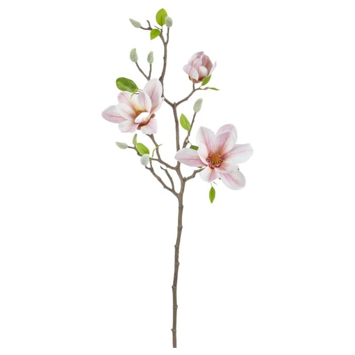 TRALCIO MAGNOLIE PINK H75